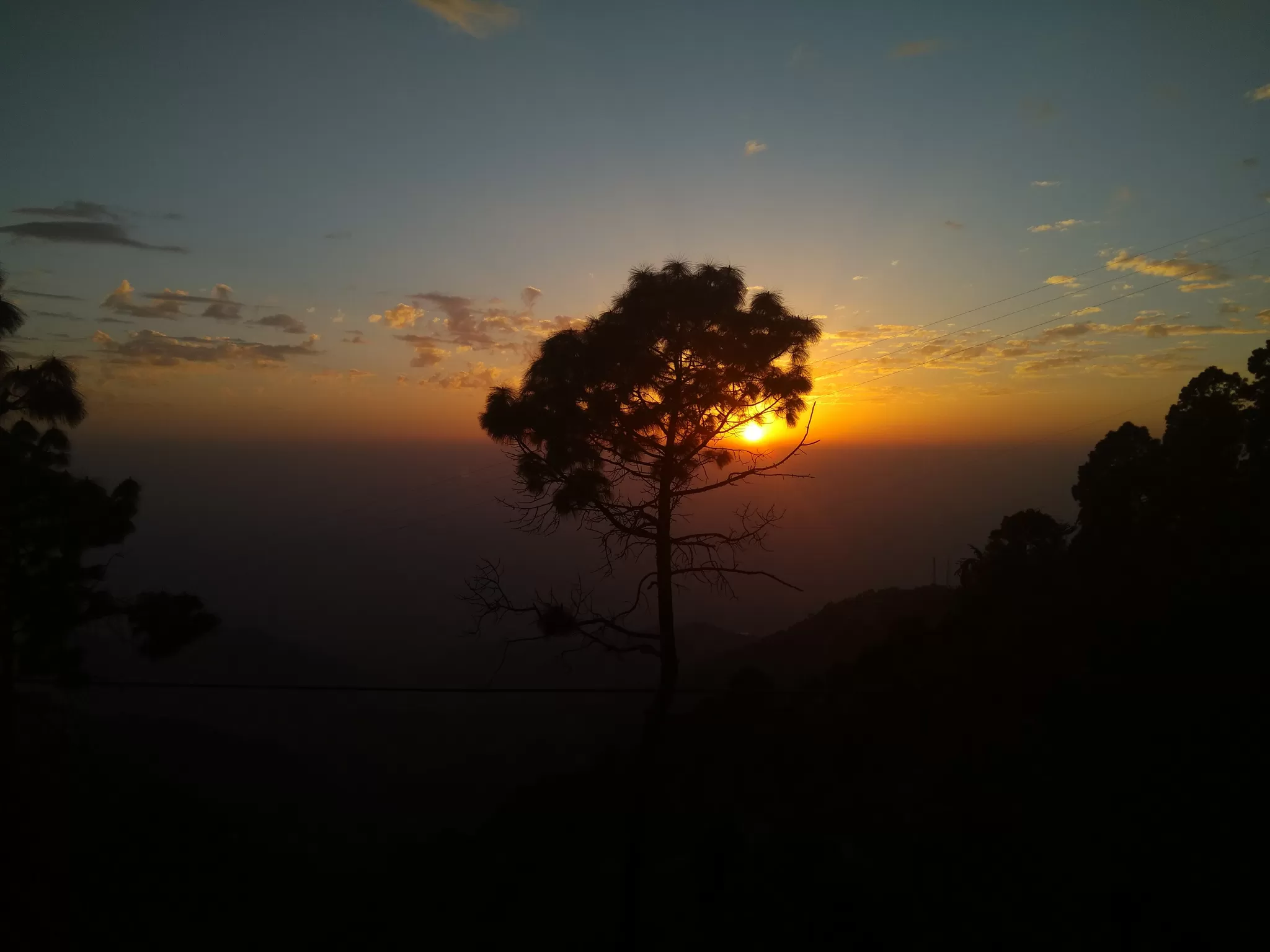 Cover Image of Pritisha Kalita