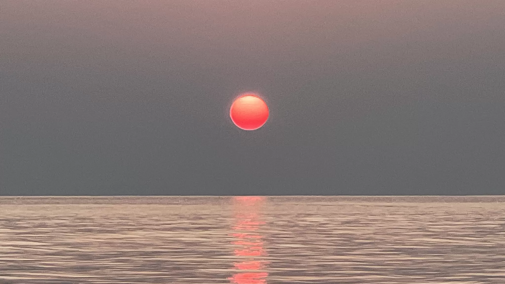 Cover Image of Uma S