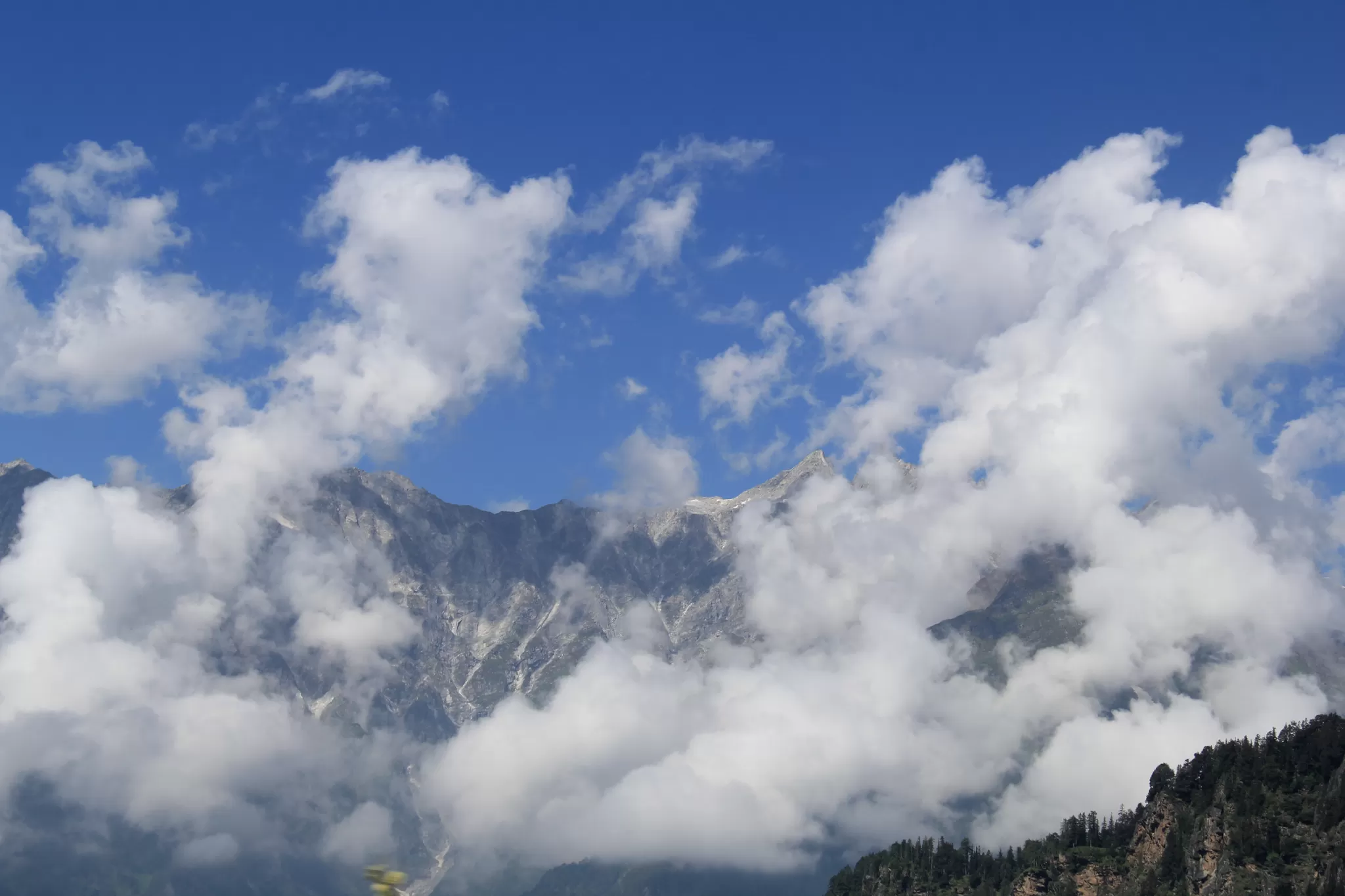 Cover Image of Prachya