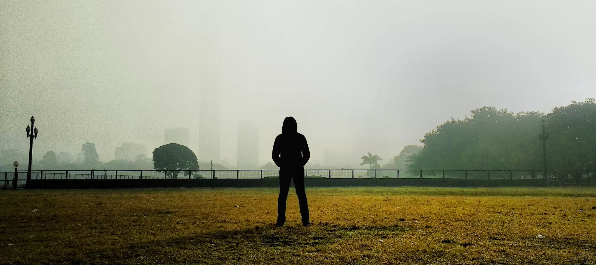 Cover Image of Ankur Dey