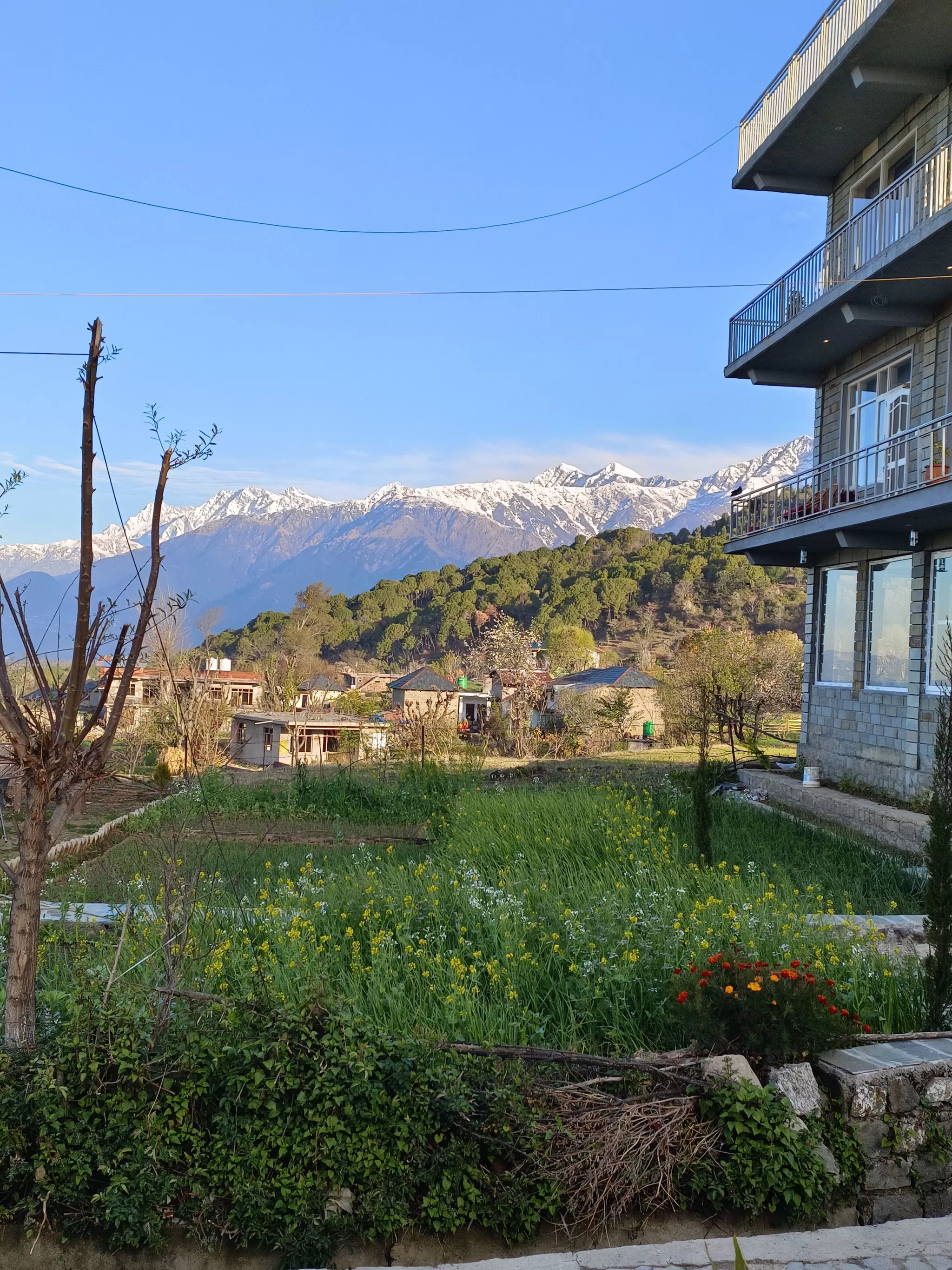 Cover Image of Snehal Khairnar