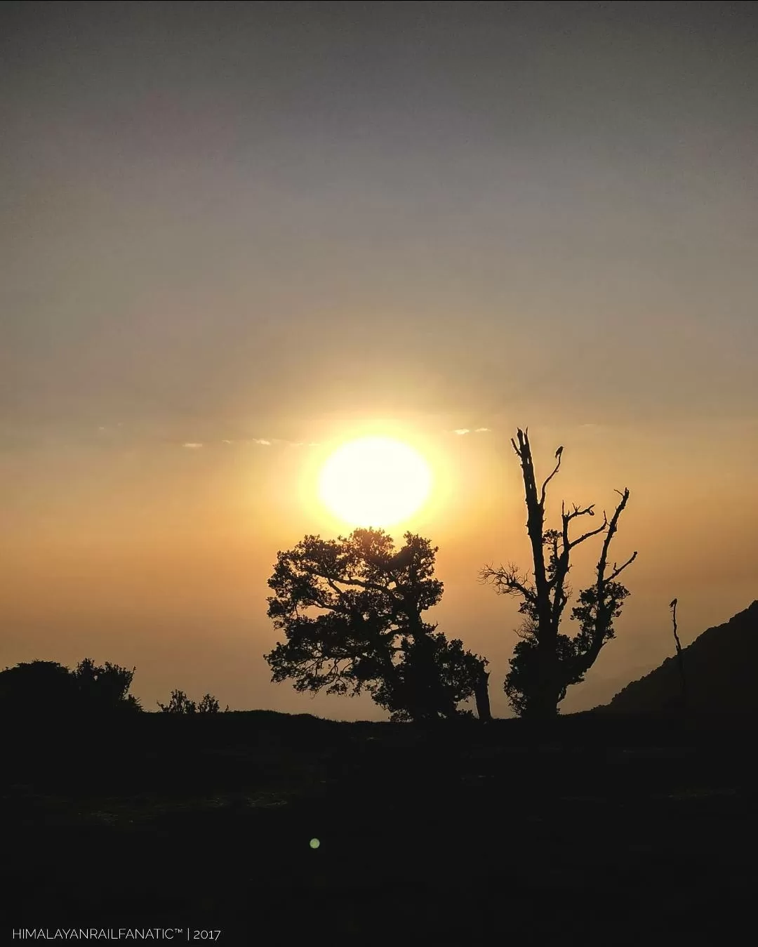 Cover Image of JoshijiKaLadka