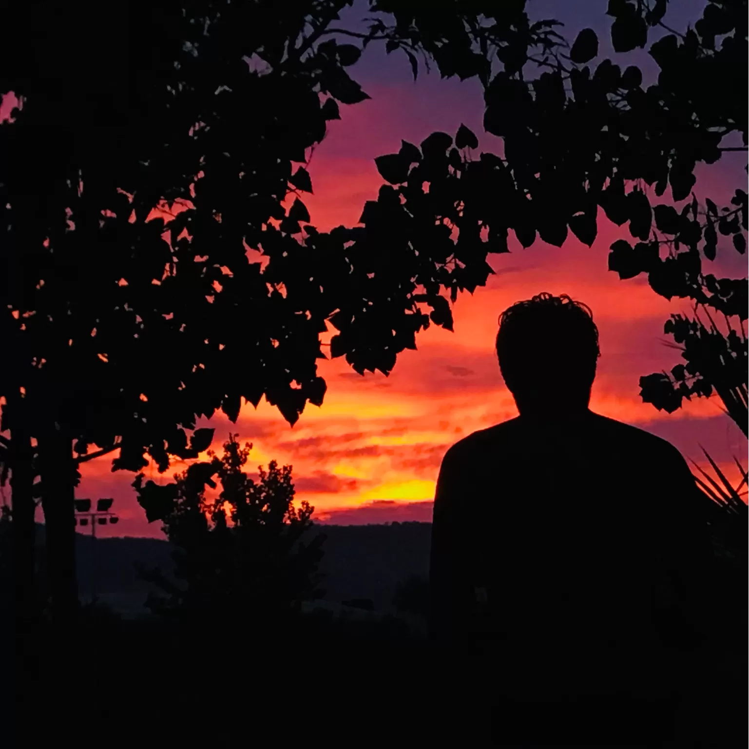 Cover Image of Abhinav Yadav