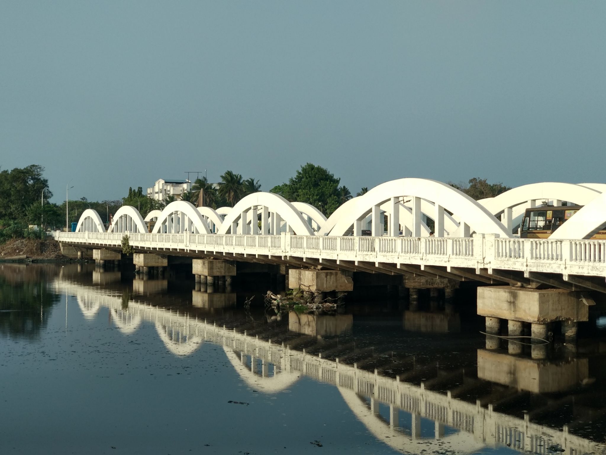Cover Image of tnpdiary