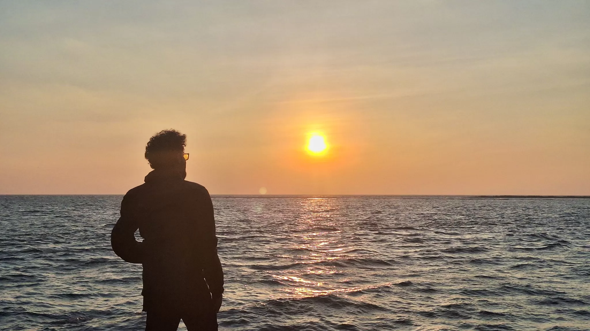 Cover Image of The Wandering Wolf