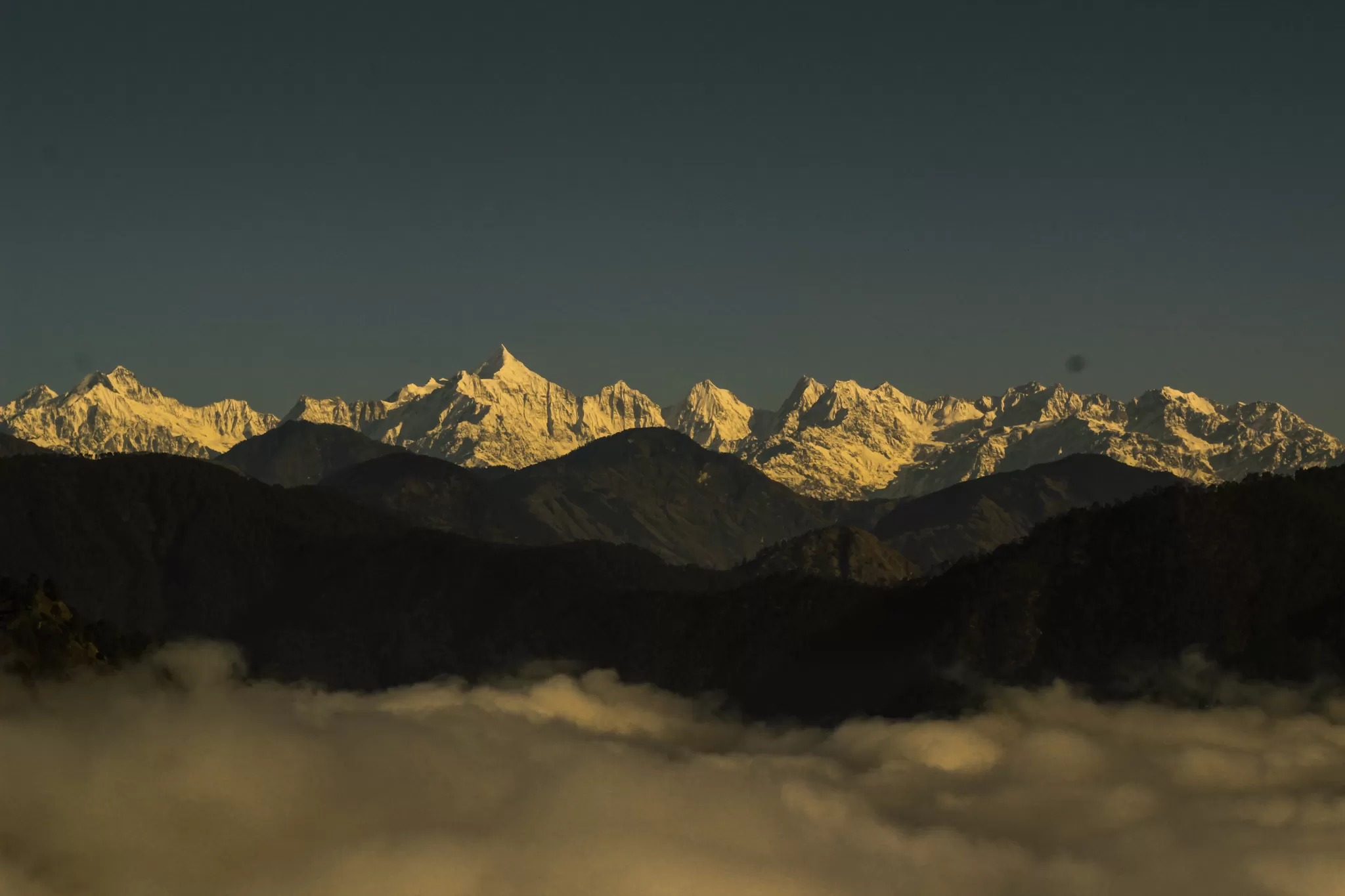 Cover Image of Dinesh Rautela