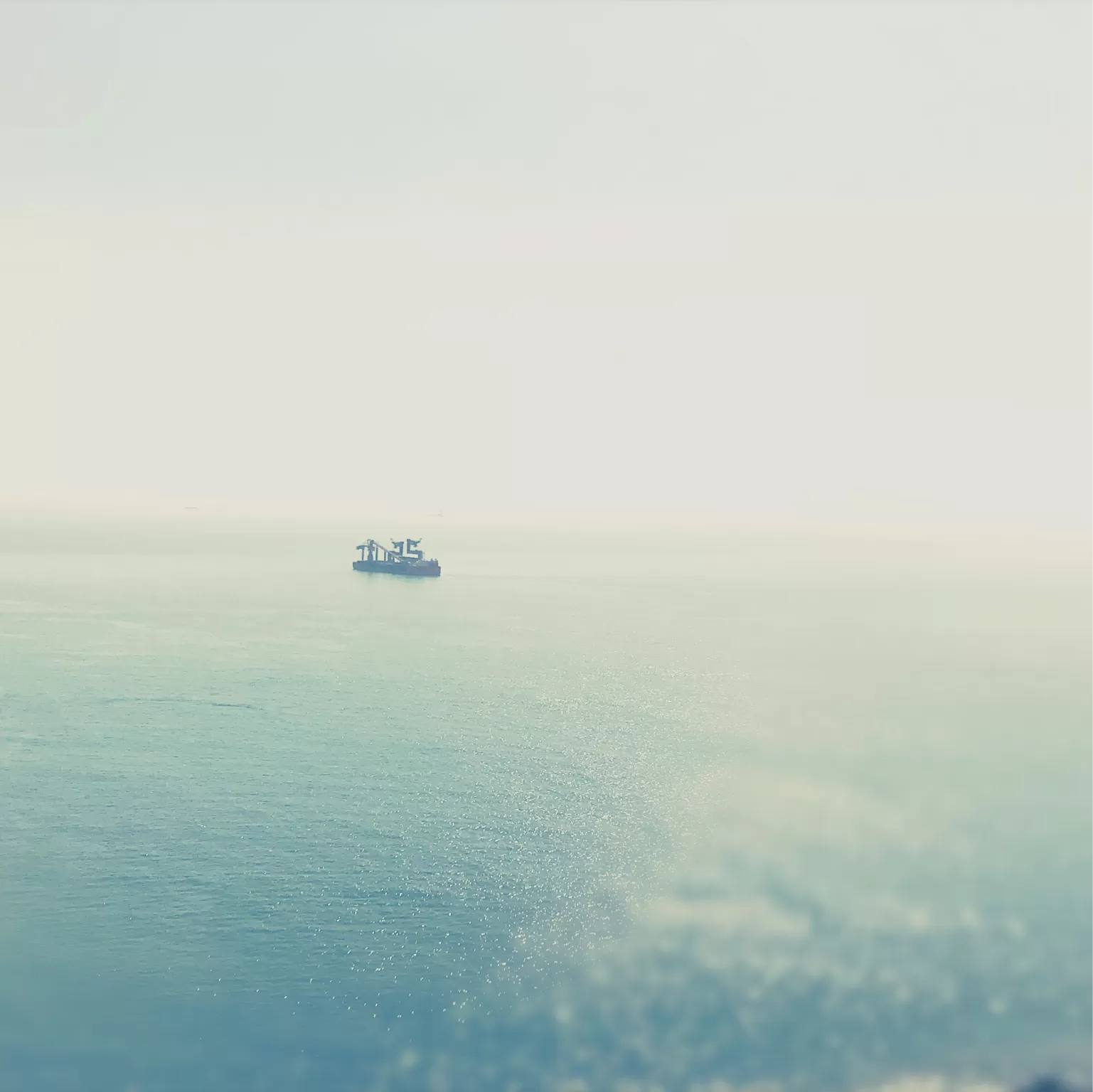 Cover Image of Nomadicnesters