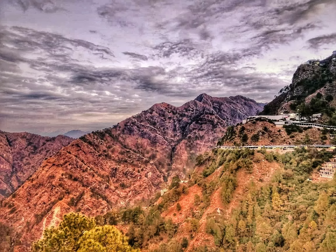 Cover Image of Paras Sahni