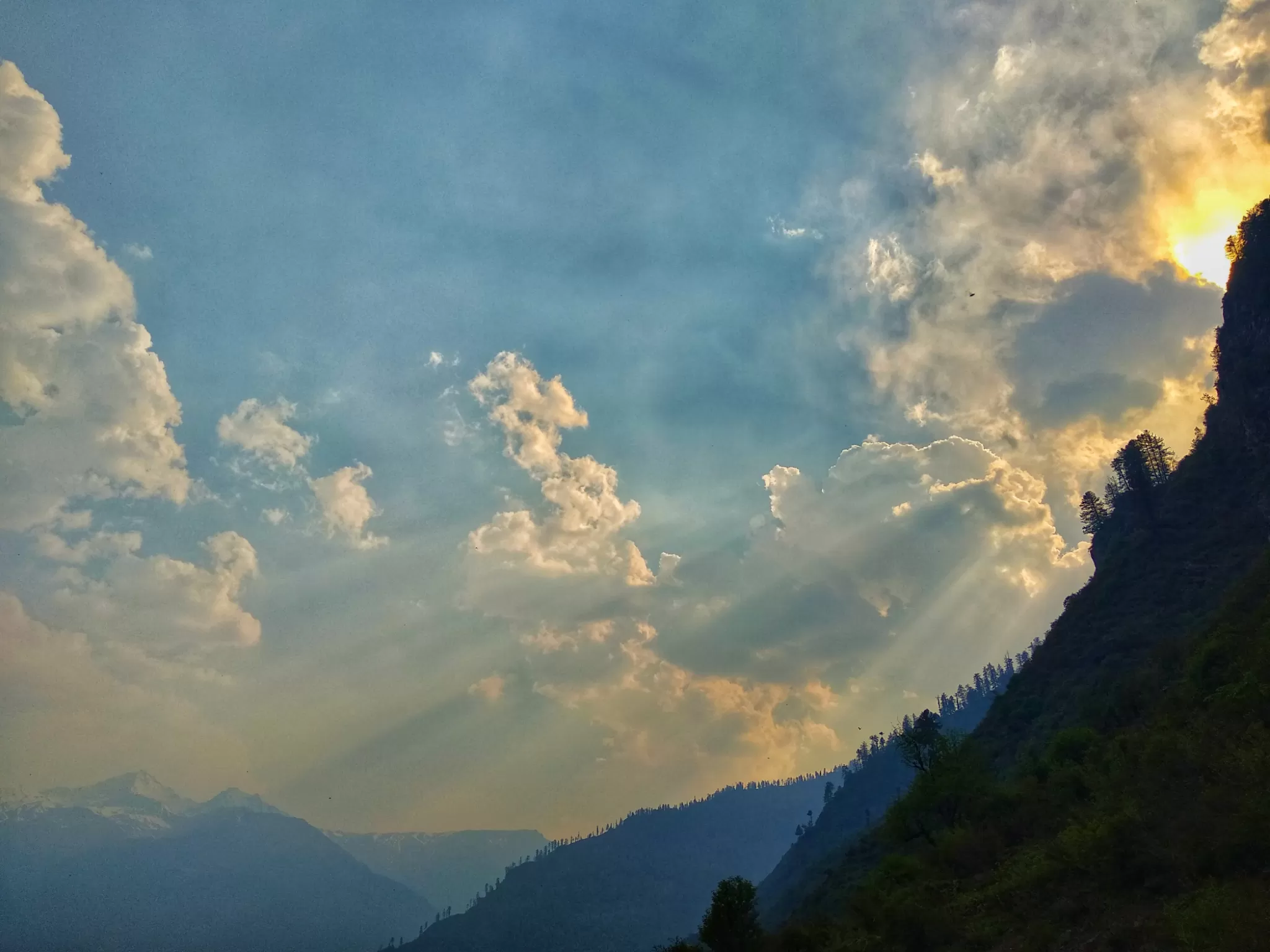 Cover Image of Sreenath Rasi