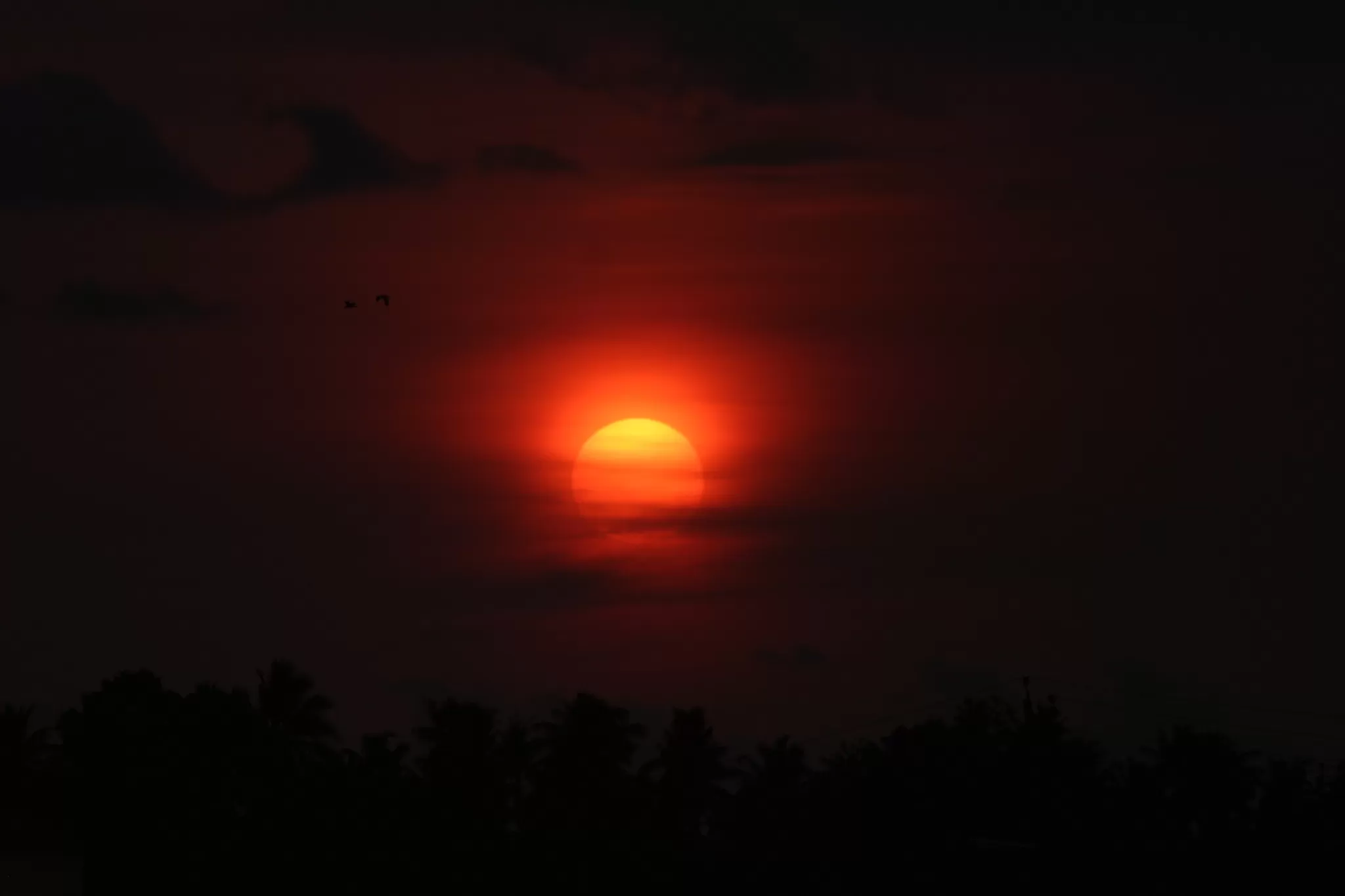 Cover Image of Surya Teja Pyla