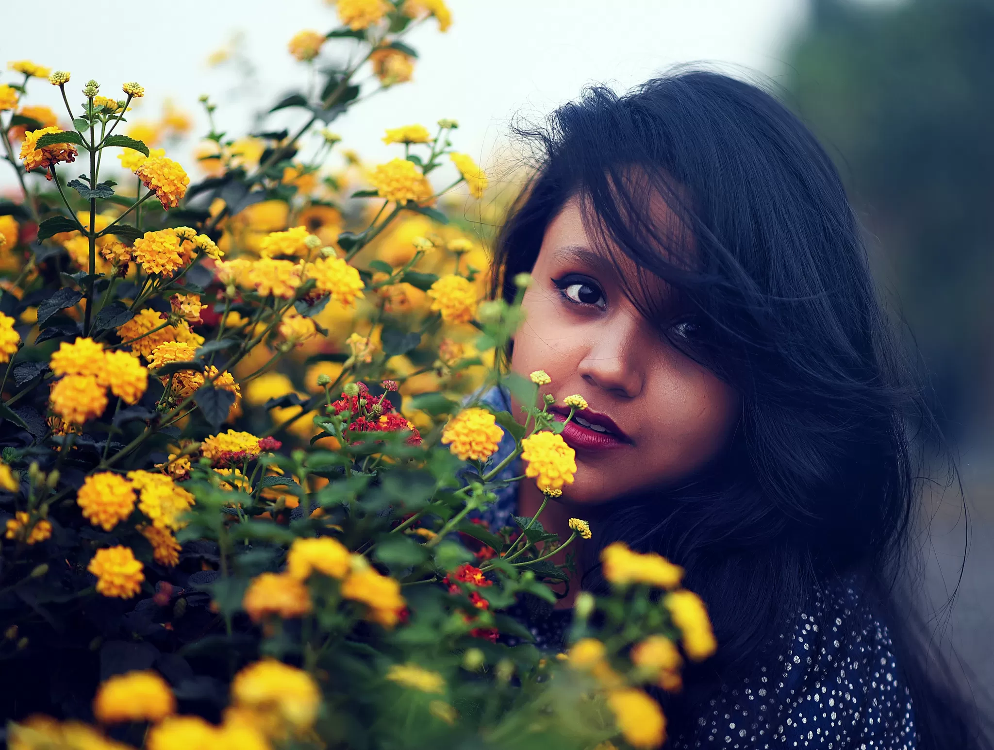 Cover Image of Ananya Das