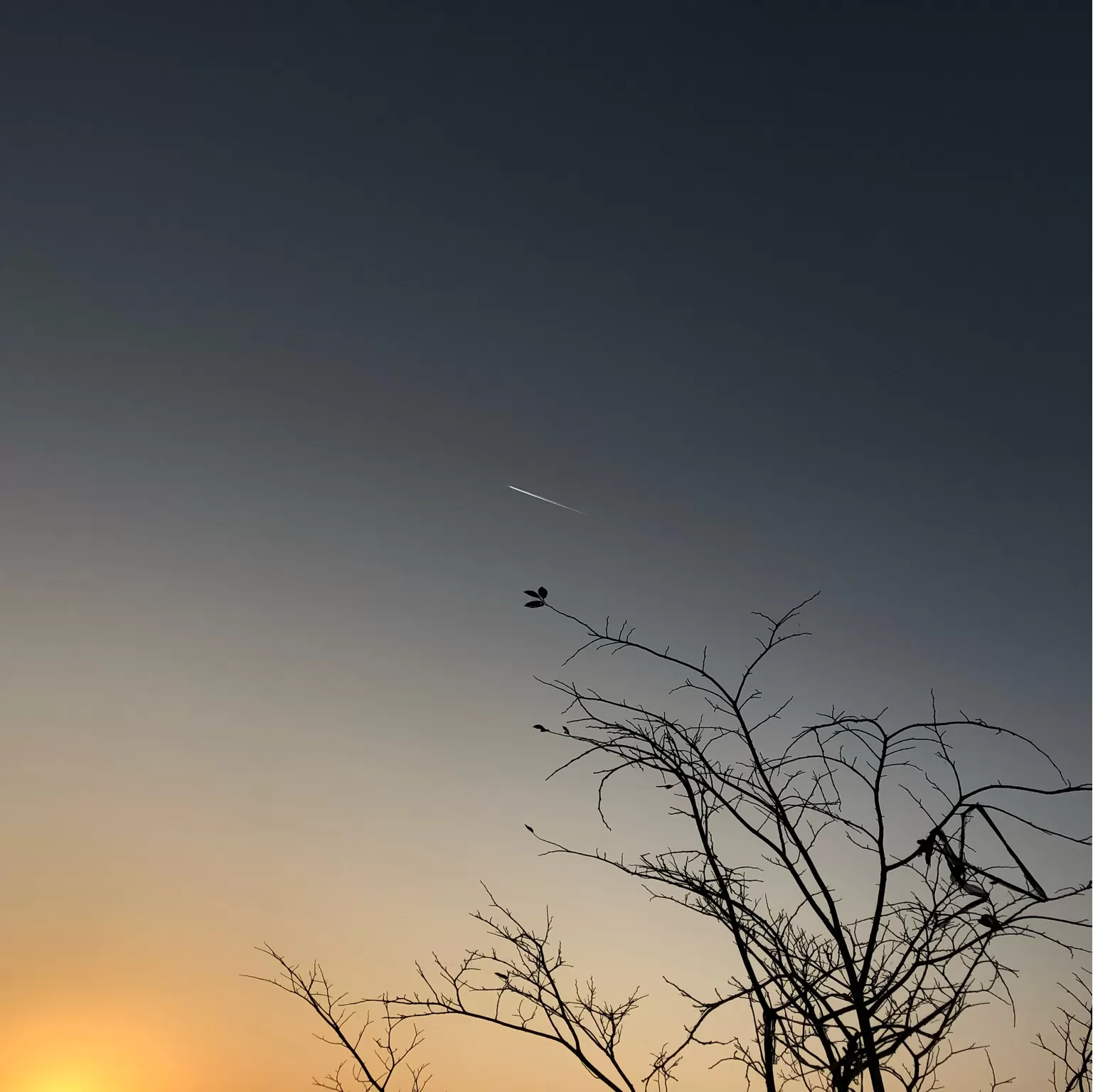 Cover Image of Shubham Asawa