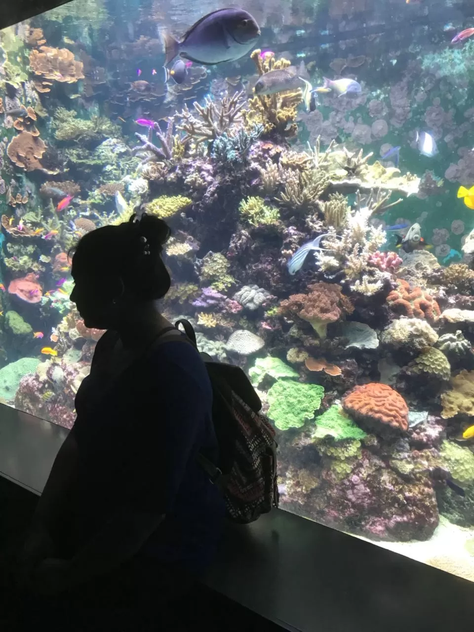 Cover Image of Sindhu Smitha