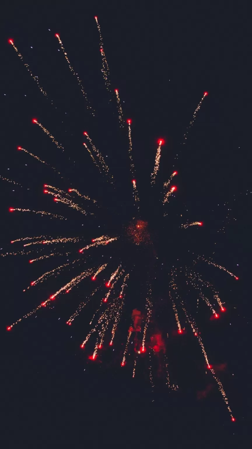 Cover Image of Gupta Dhruv