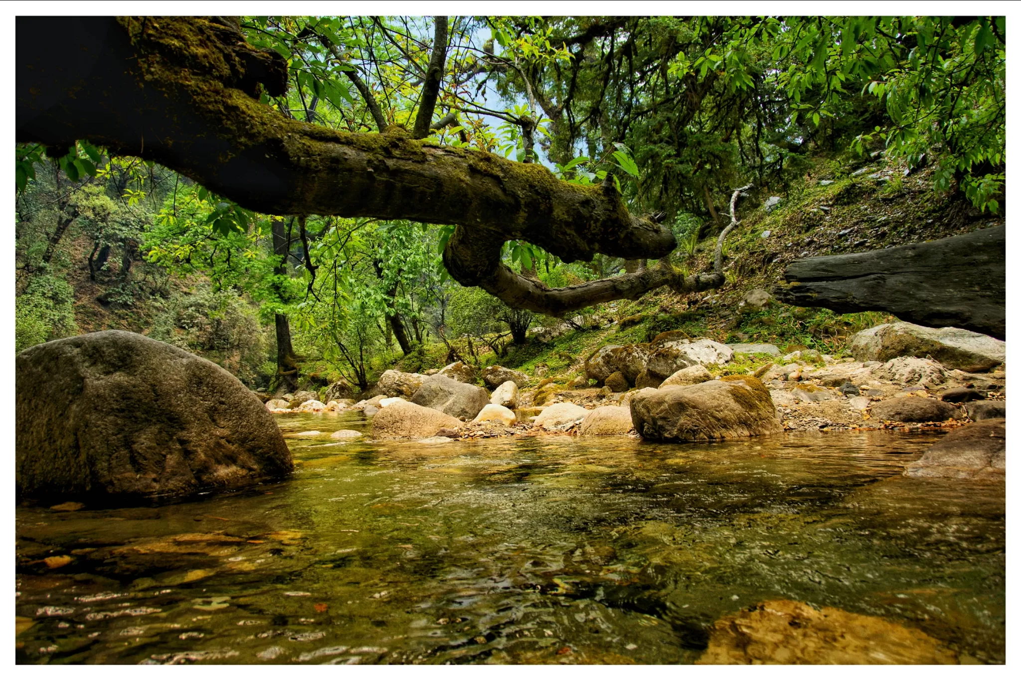 Cover Image of Siddharth Choudhary