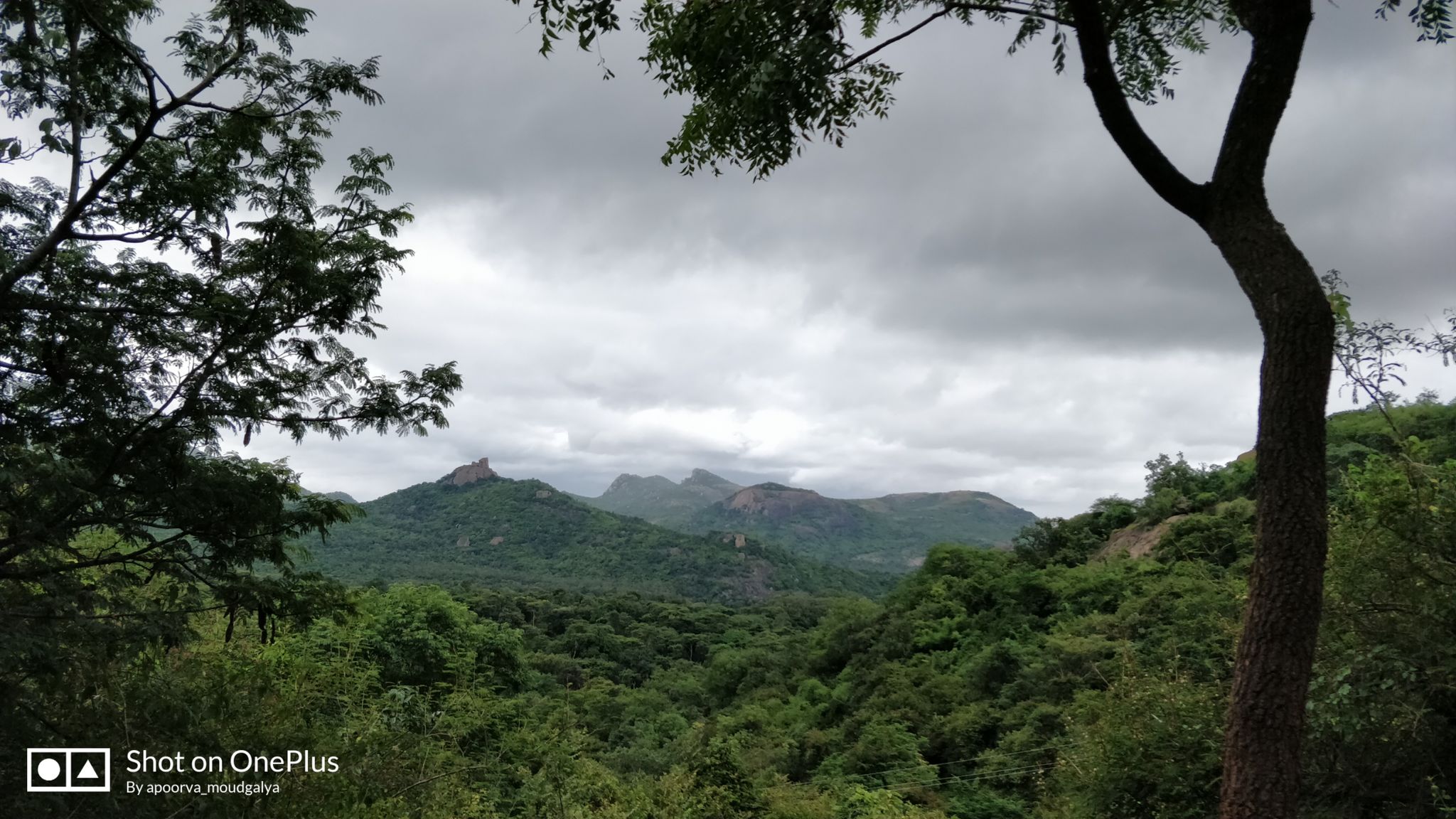 Cover Image of Apoorva Sheshagiri