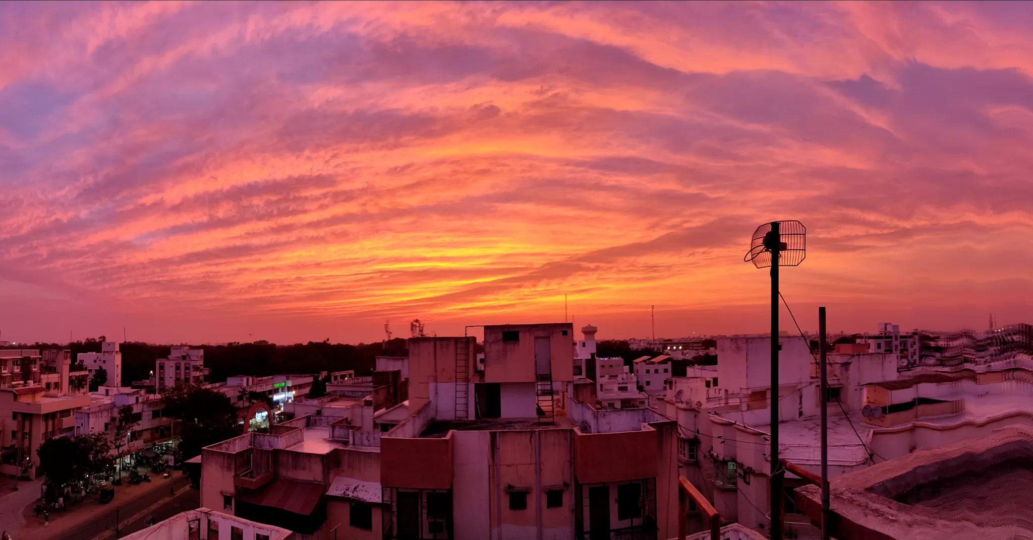 Cover Image of Shenoy 