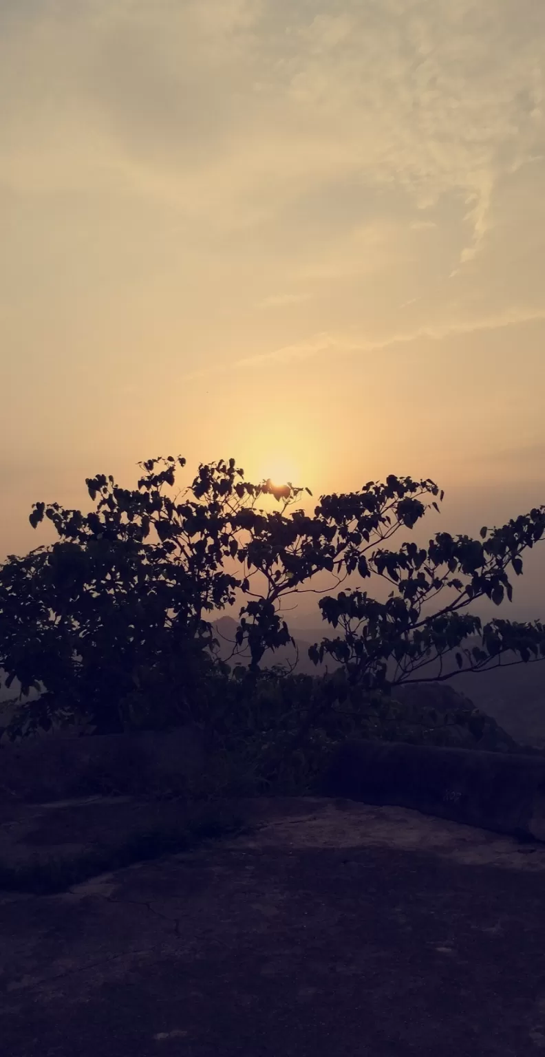 Cover Image of Bhavya Shah