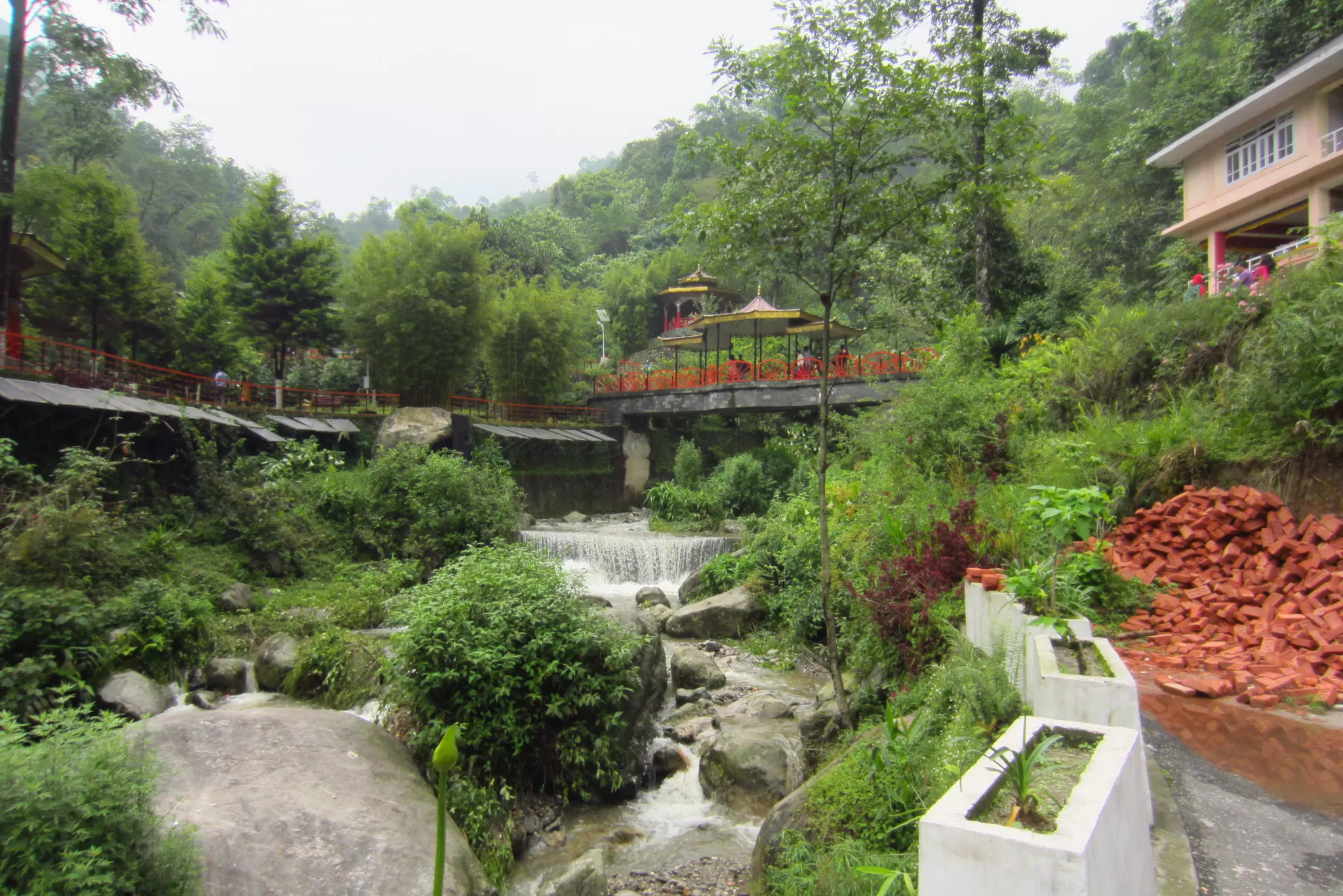 Cover Image of Pritha Dasgupta
