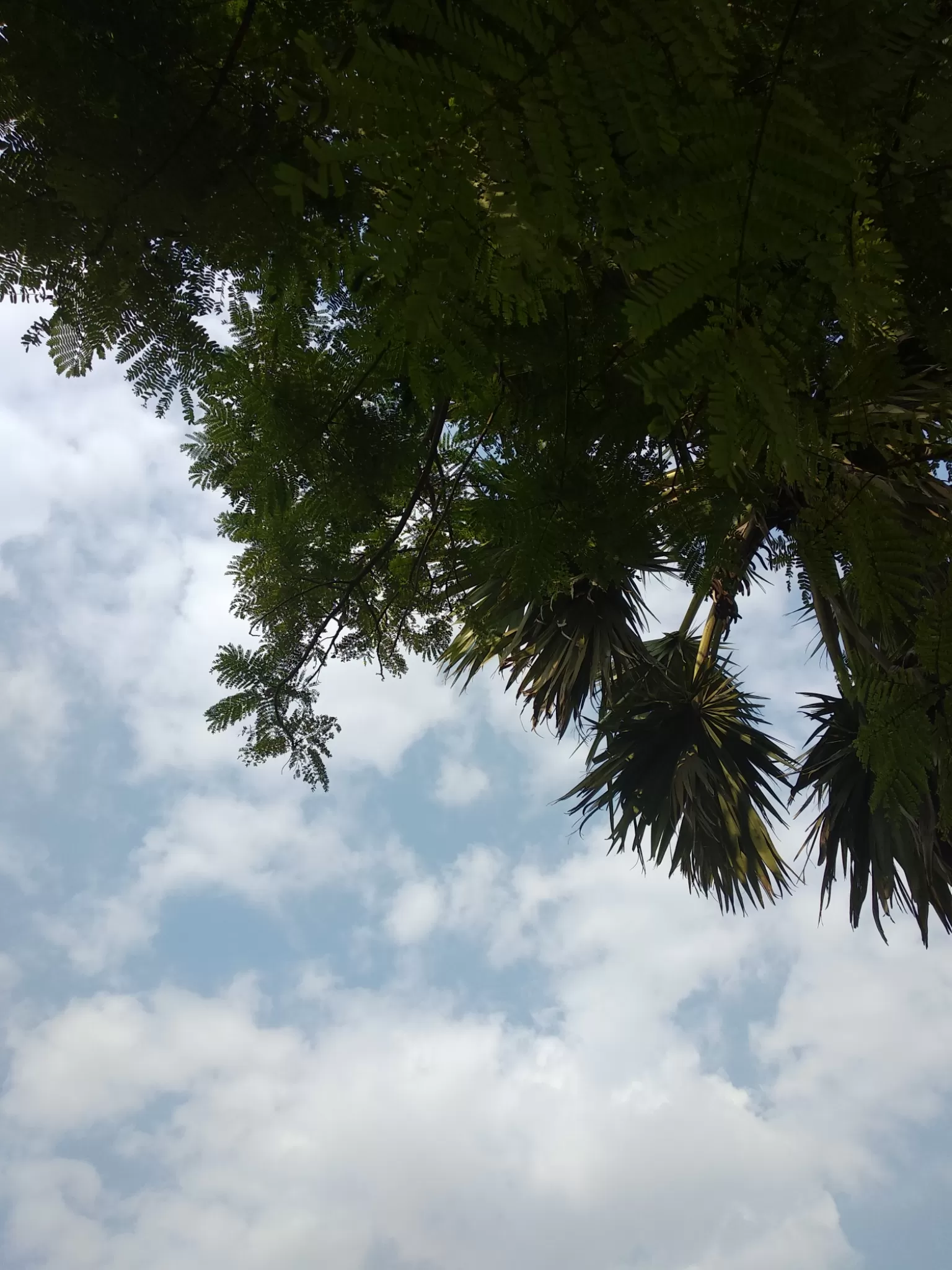 Cover Image of Jyoti Kaushik