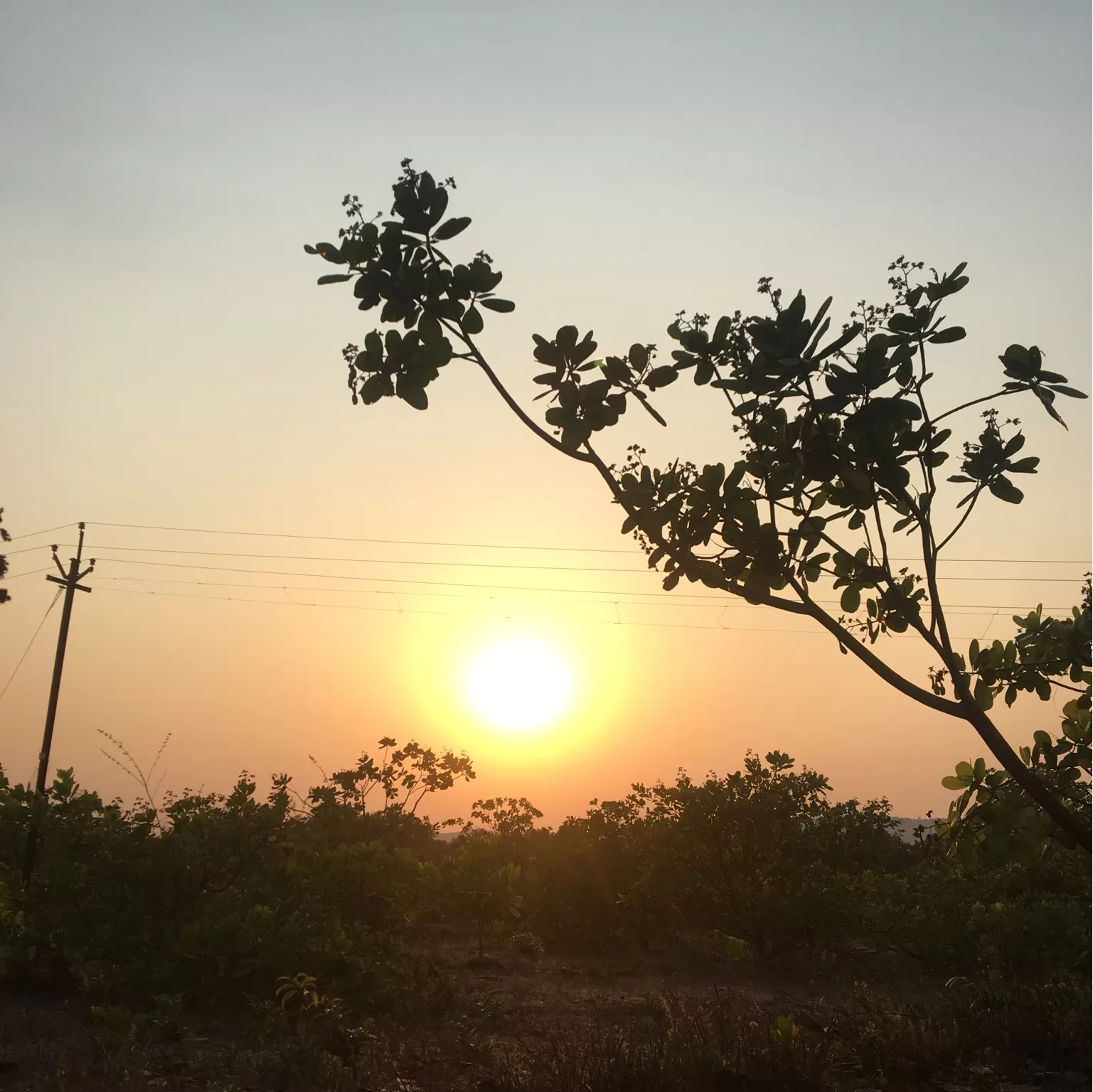 Cover Image of yashwant