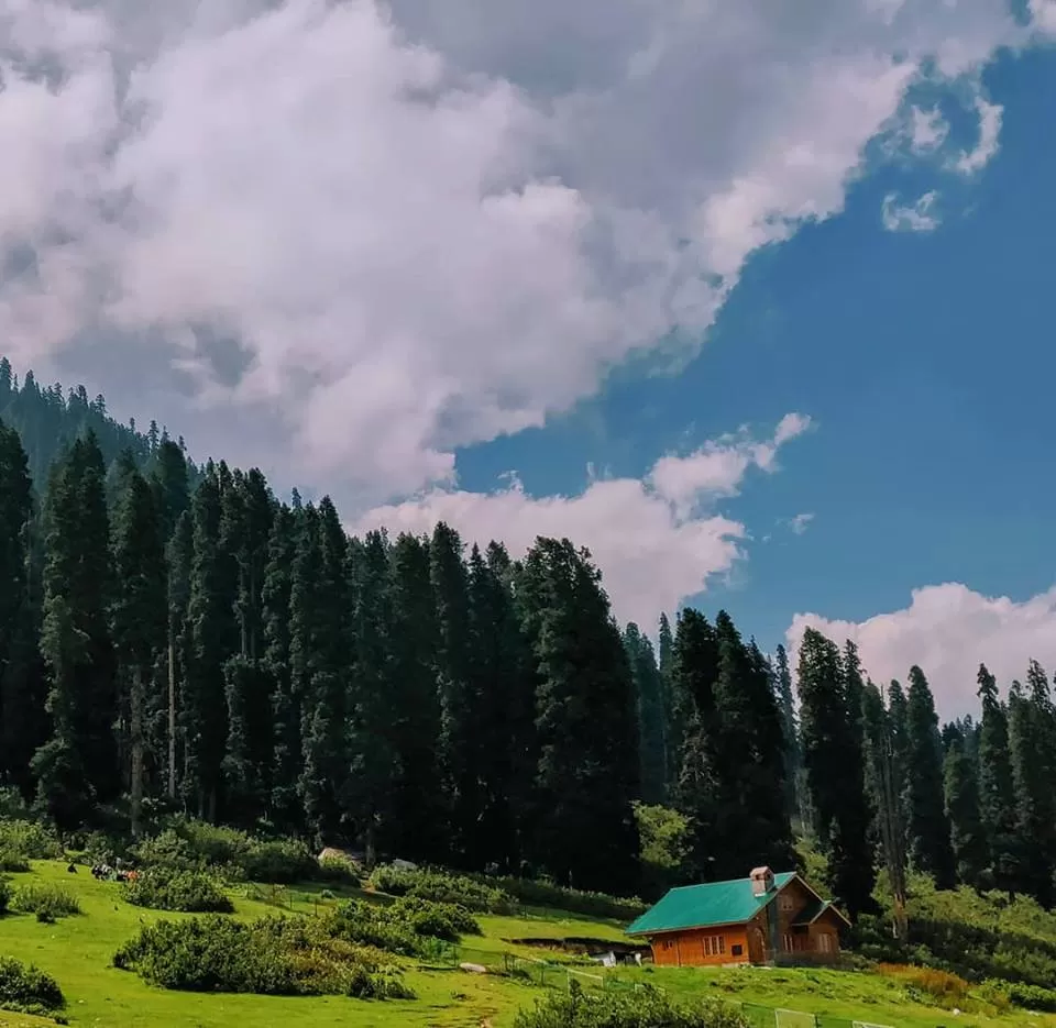 Cover Image of Shefali Gautam