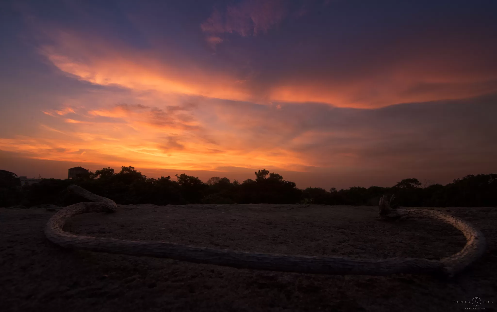 Cover Image of Tanay Das
