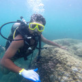 Freddie Jazz Travel Blogger