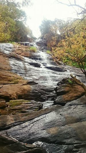 Yercaud: Jewel of the South/ Lake Forest
