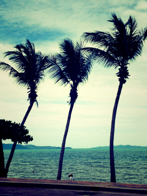 My seven point ode to Thailand