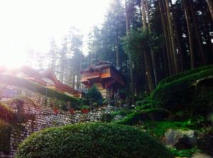 My Favourite day in 'Kasol' - Up in the Himachal
