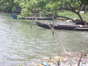 Fort Kochi: Beauty and beyond