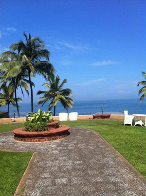 Go Goa!