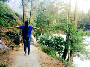 7 days of Himachal high!