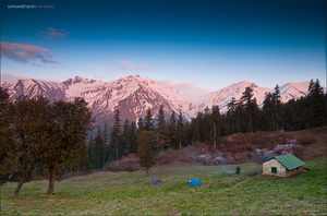 A Literal Encyclopedia To Exploring 11 Gorgeous Forests Of India On Foot
