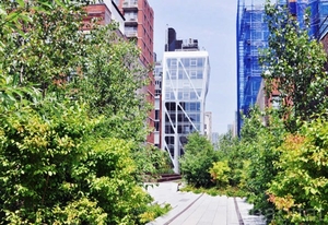 The 15 Non-Touristy Things We Did In New York This Summer!