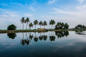 All You Need To Know About Planning A 6-Day Budget Trip To Kerala