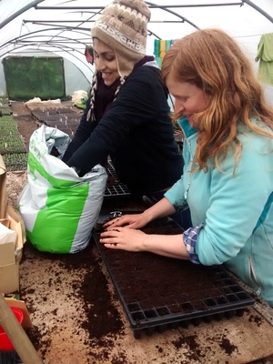 Another way to travel the world for free – WWOOFing