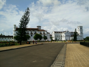 GO GOA GONE