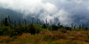 Into a land less traveled: Trekking Through Maenam Wildlife Sanctuary, Sikkim