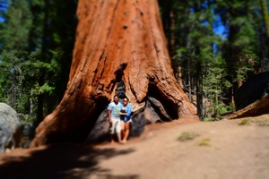 Our favourite five national parks in the Western USA