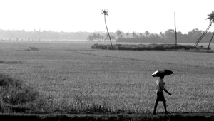 Our favourite five places to visit in Kerala, India