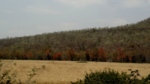 Heart of India I- Delawadi Jungle camp, Ginnaurganj fort