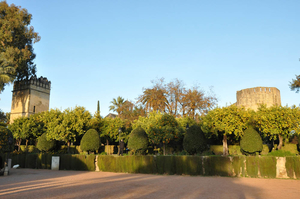 Road-trip in SPAIN: Barcelona, Andalucia & Madrid!
