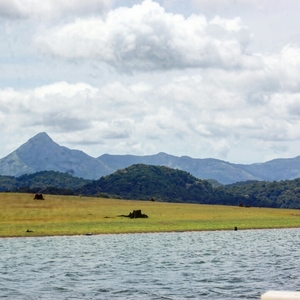 Getaway to Parambikulam