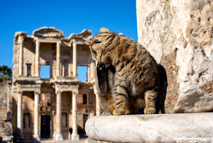 Ephesus – More than the Library of Celsus