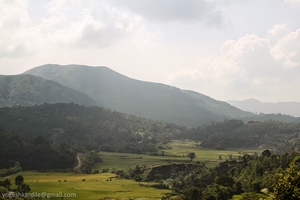 Kudremukh National Park - Shola Forest