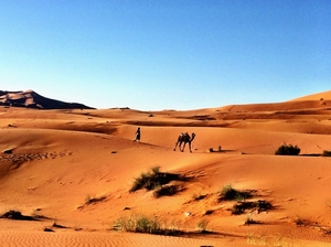 Sleeping Under The Stars On A Sahara Desert Tour
