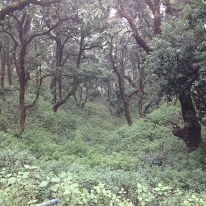 Lost in the clouds - Lansdowne!
