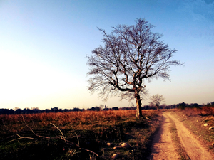 Field Trippin' Nainital